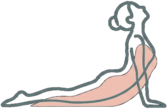 Mood Pilates Logo